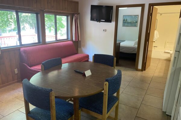 View of the main room with the dining table and sofa sleeper