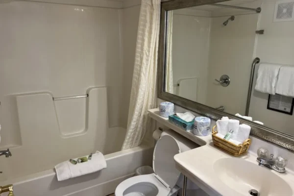 View of the bathroom with the tub/shower