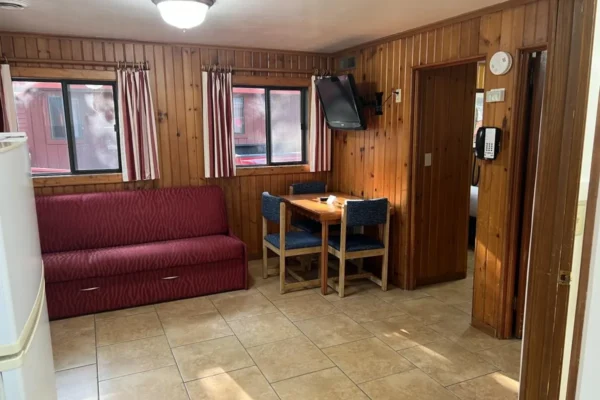 View of the main room with the dining table and sofa sleeper