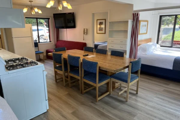 View of main room with kitchen, dining table and pull out couch