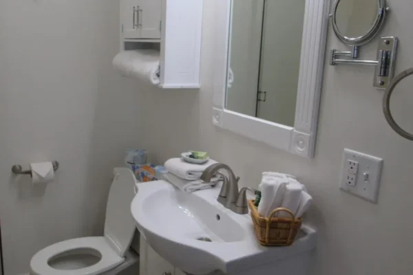 View of the bathroom with a standing shower