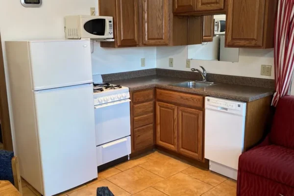 View of the kitchen and sofa sleeper