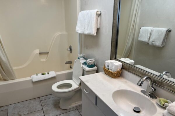 View of the bathroom with the tub shower