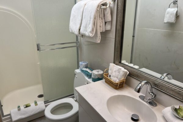 View of the bathroom with standing shower